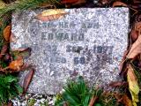 image of grave number 437838